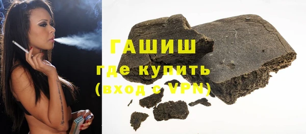 МДПВ Бородино