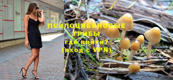 мескалин Покачи