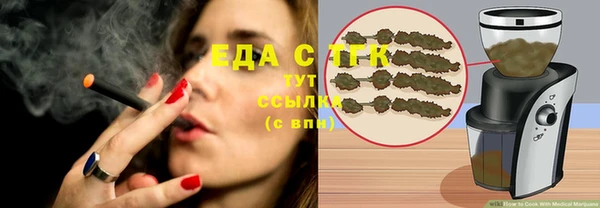 МДПВ Бородино