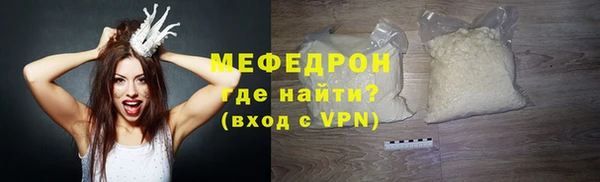 МДПВ Бородино