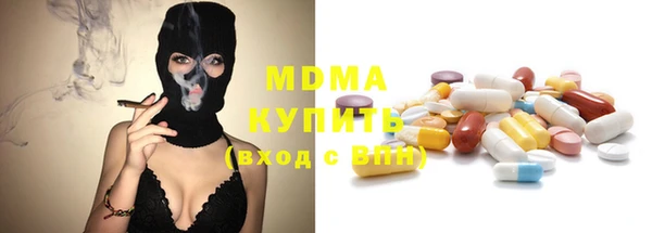 МДПВ Бородино