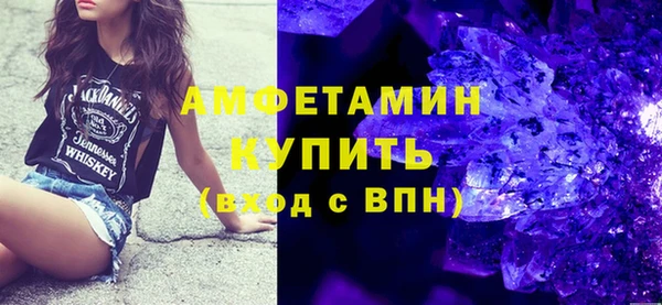 МДПВ Бородино