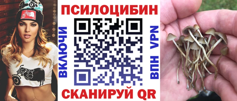 Псилоцибиновые грибы ЛСД  Купить где  Чаплыгин 